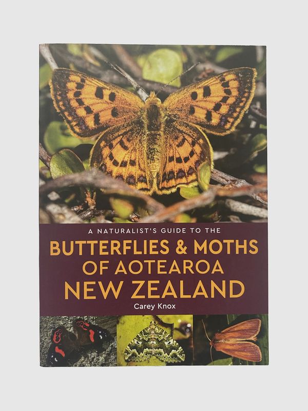 A Naturalists Guide to the Butterflies & Moths of Aotearoa NZ