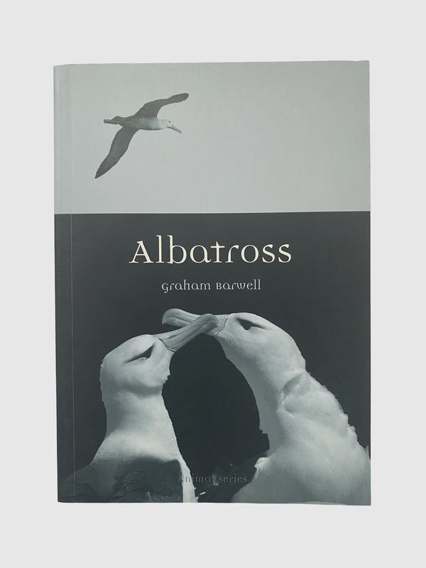 Albatross