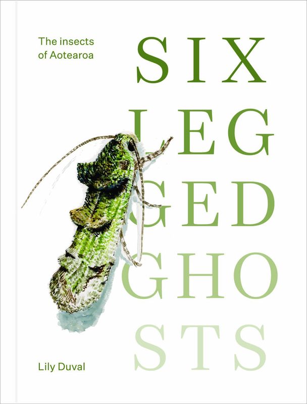 Six-legged Ghosts: The insects of Aotearoa