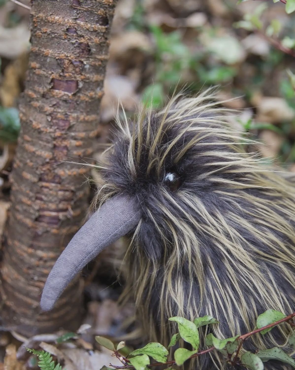 Plush Toy- Little Spotted Kiwi, medium