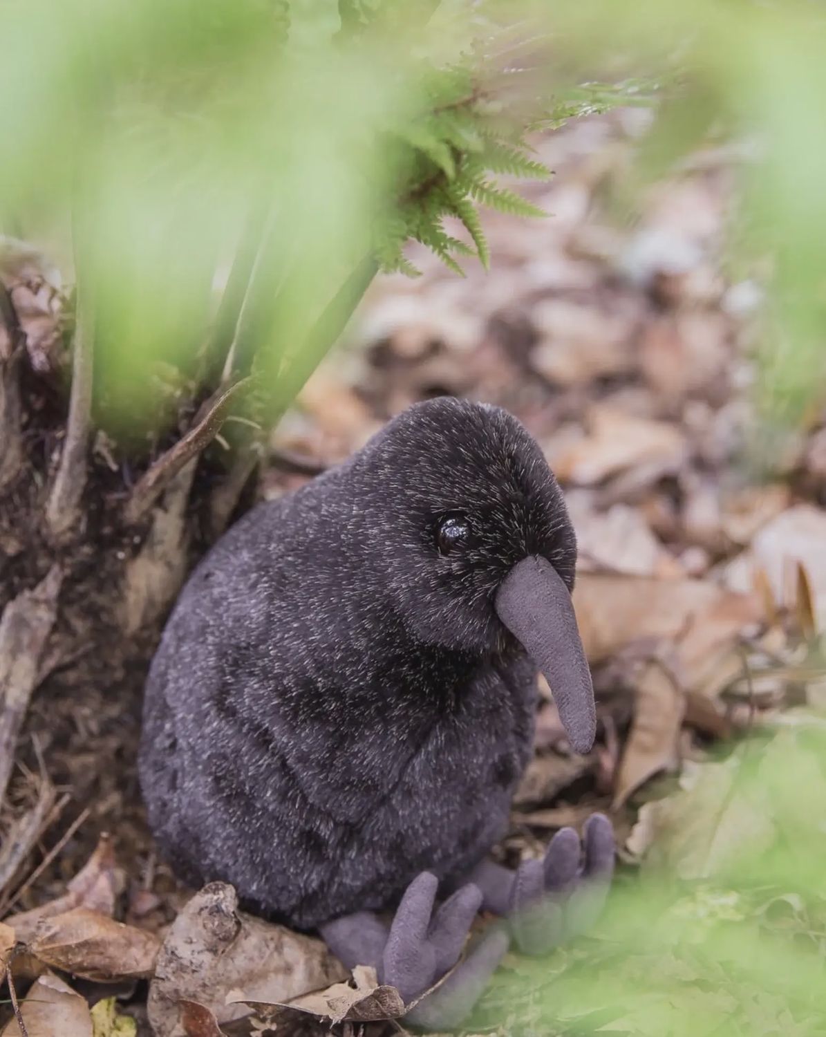 Soft Toy- Kiwi pukupuku, medium