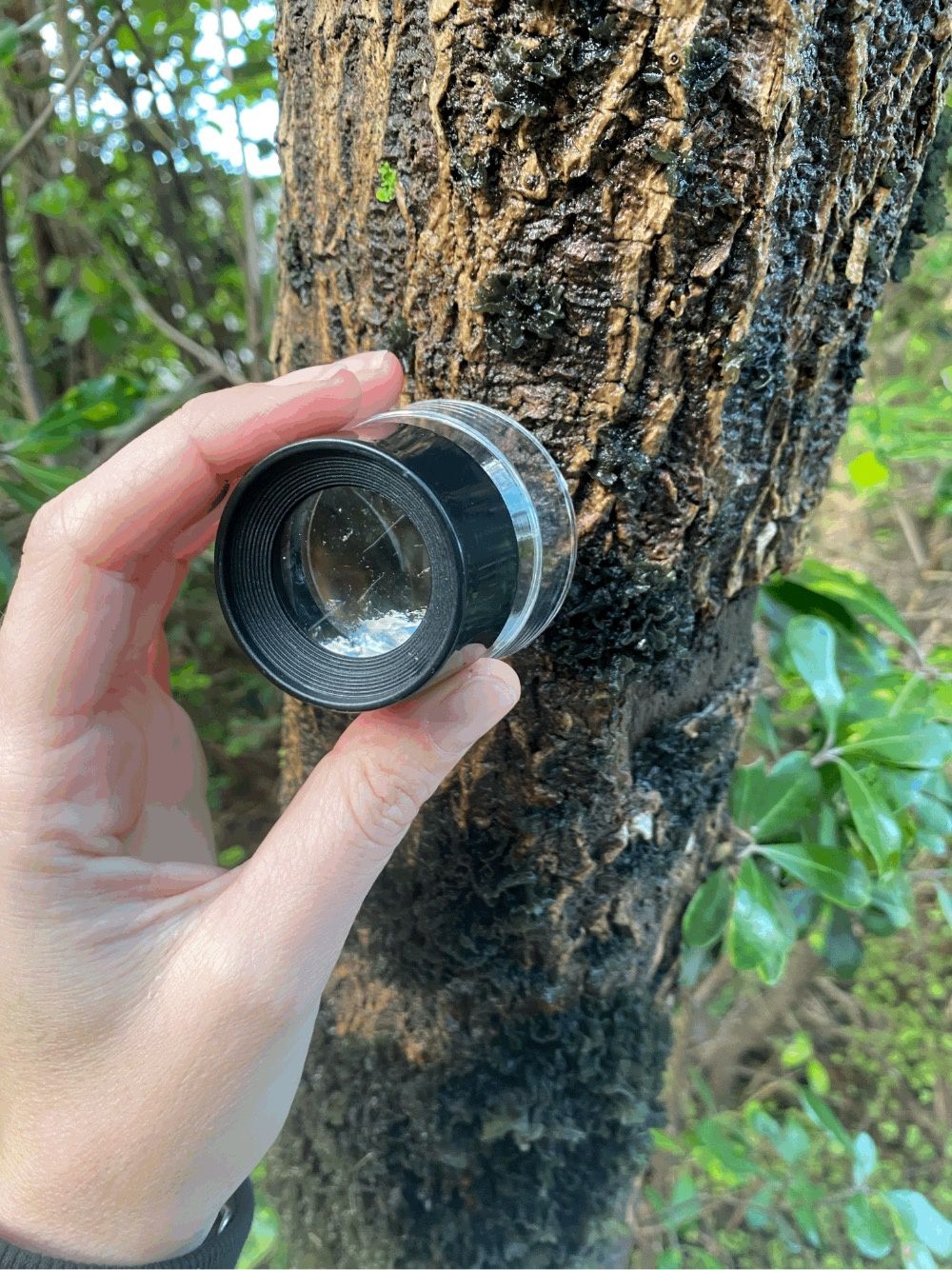 Magnifier Cylinder