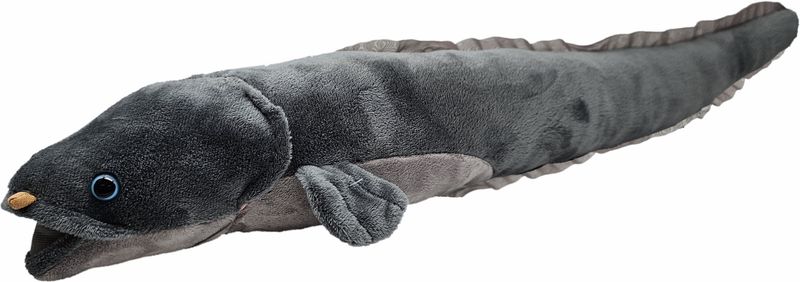Plush Toy- Tuna/long finned eel