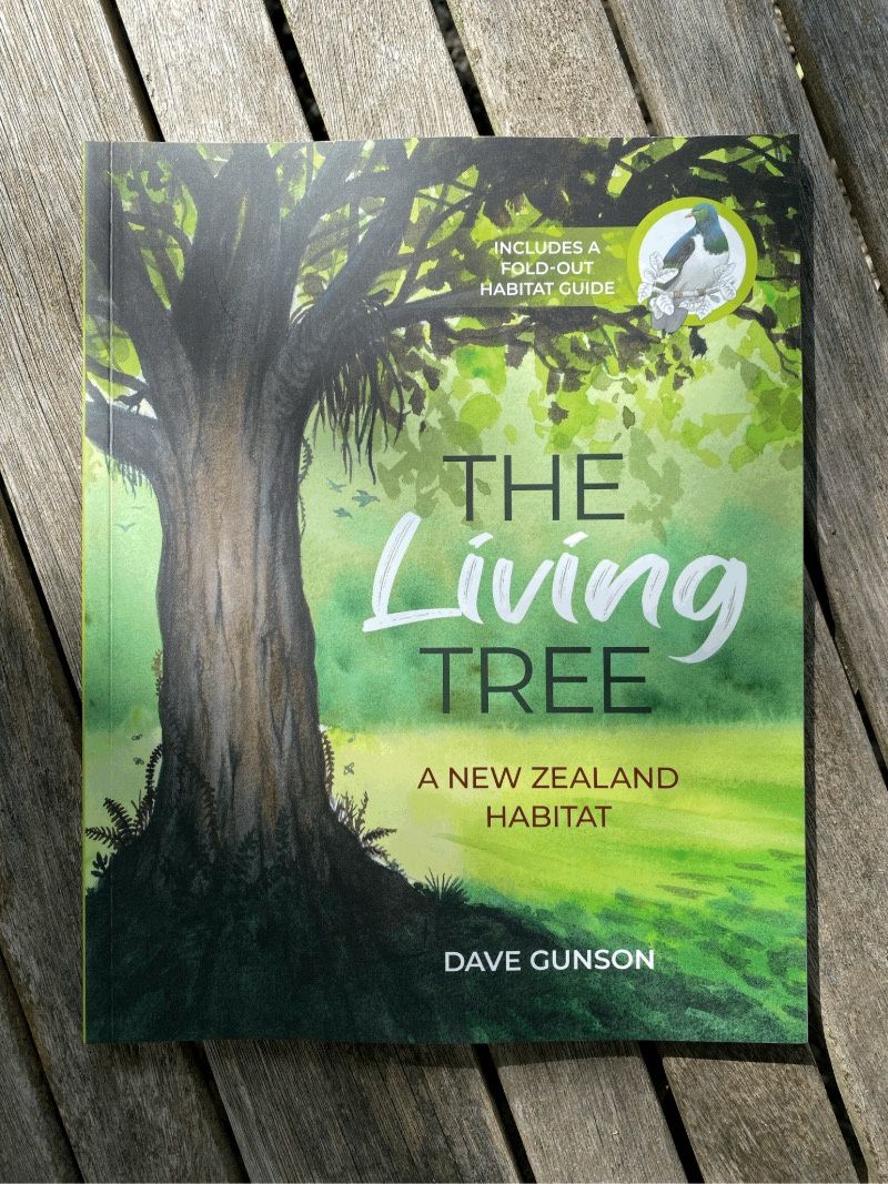 The Living Tree: A New Zealand Habitat The Living Tree: A New Zealand Habitat
