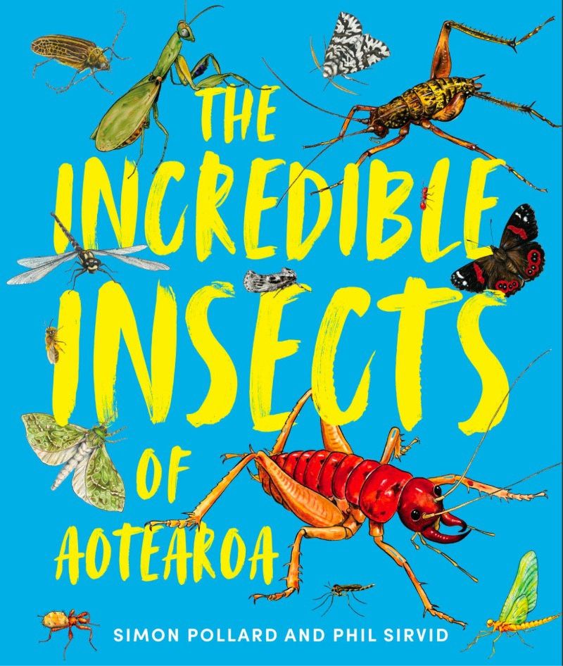 The Incredible Insects of Aotearoa The Incredible Insects of Aotearoa