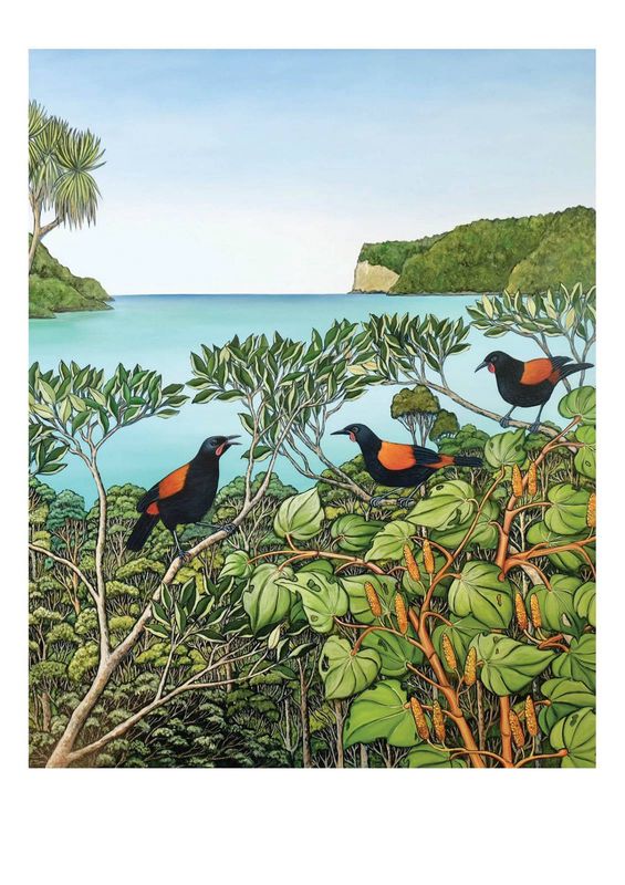 Card-Resounding Saddleback Songs