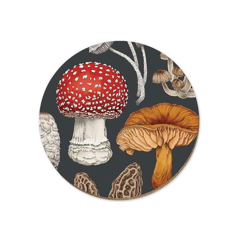 Single Coaster- NZ Fungi Morchella