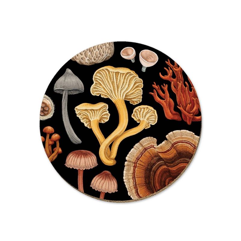 Single Coaster- NZ Fungi Bolete