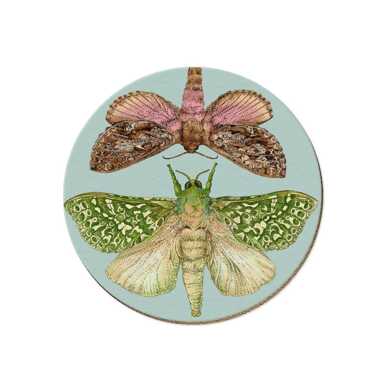 Single Coaster- NZ Moths