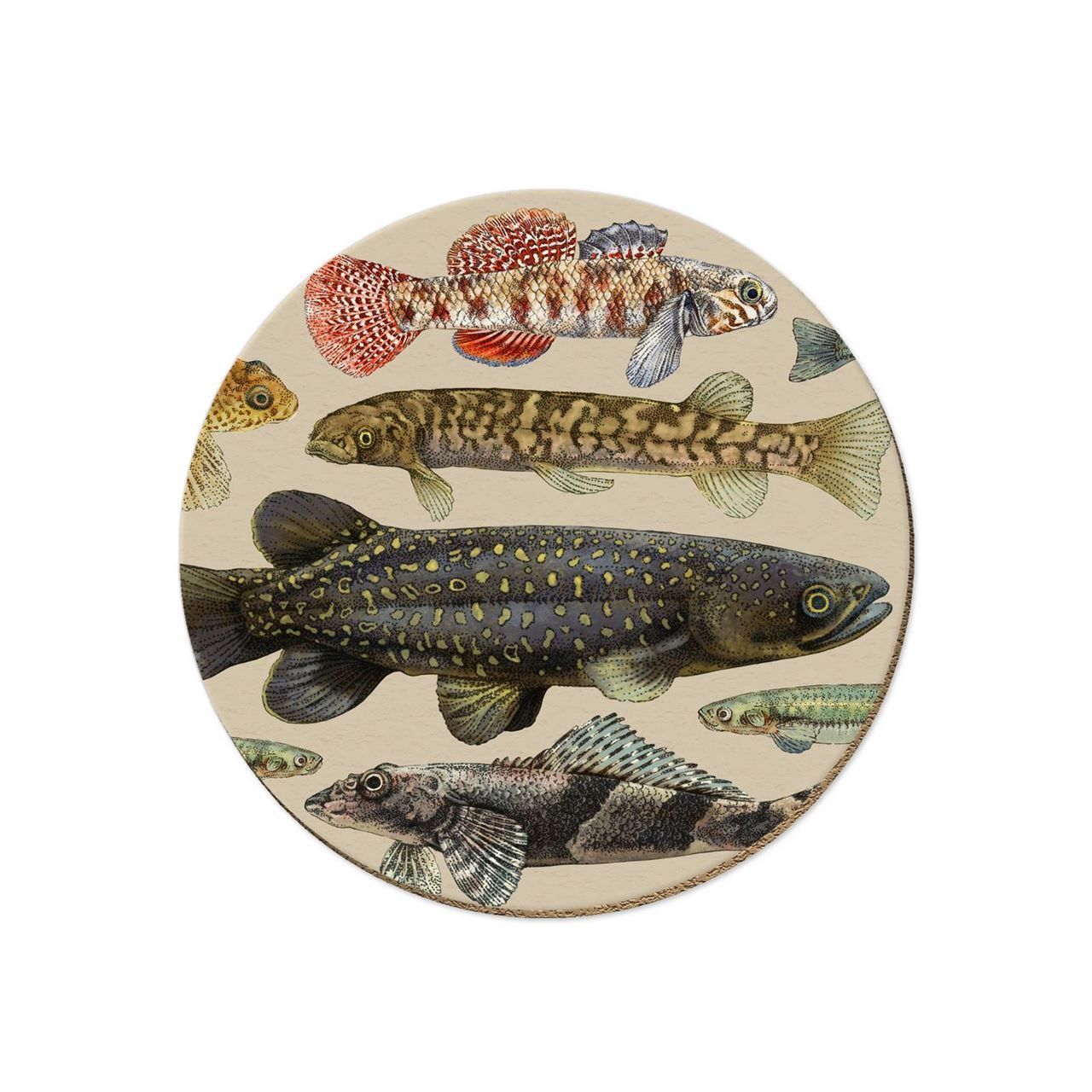 Single Coaster- NZ Freshwater Fish