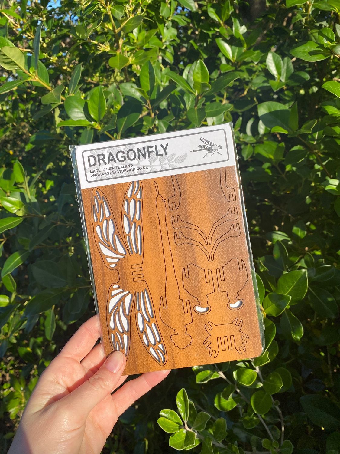 Med Flatpack- Dragonfly