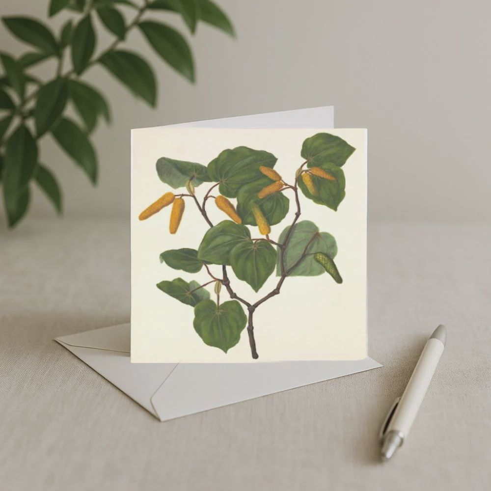 Card- S.Featon, Kawakawa