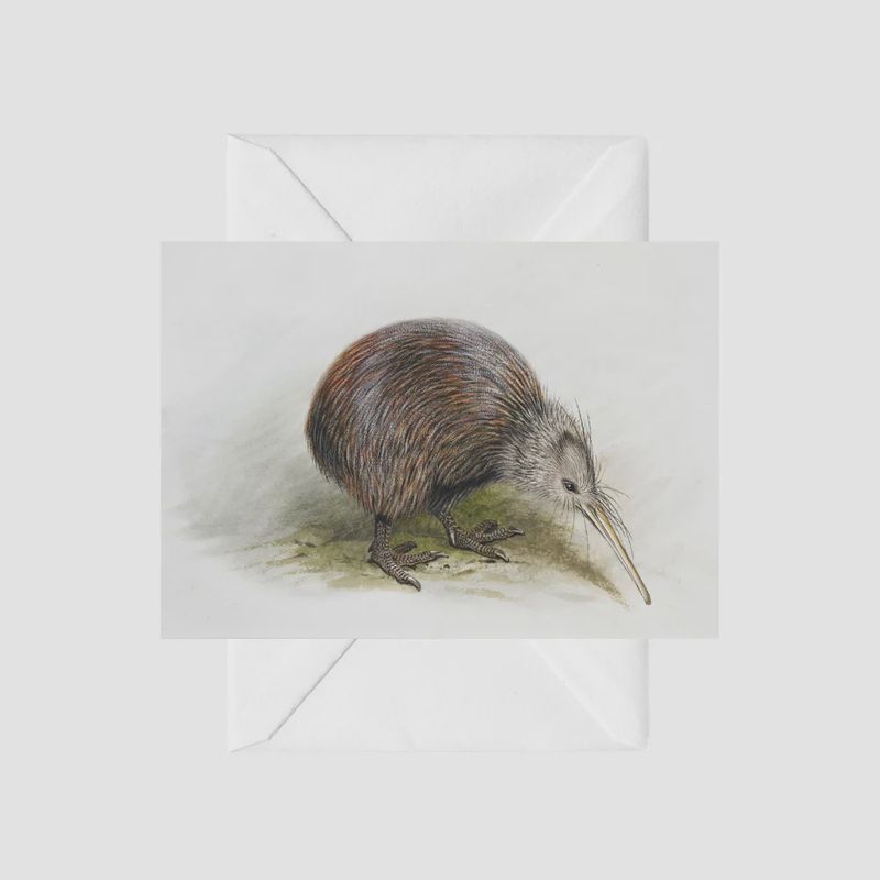 Card- G.Lodge, Kiwi