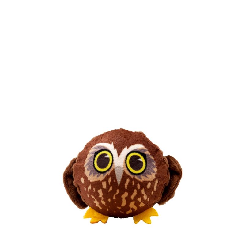 BouNZy Ball- Ruru