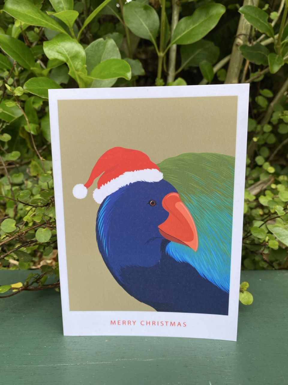 Christmas Card- Takahē