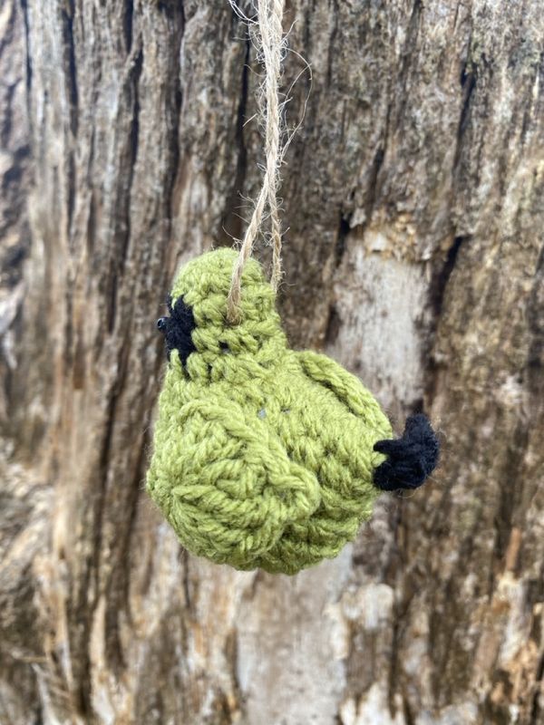 Crochet Bird- Korimako