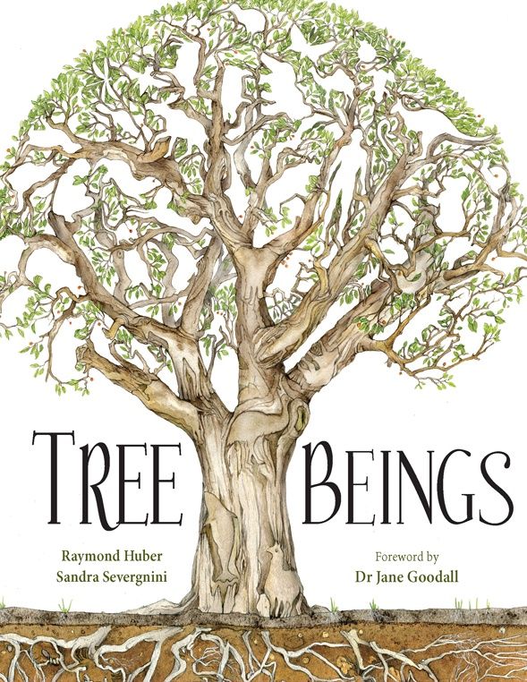 Tree Beings Tree Beings