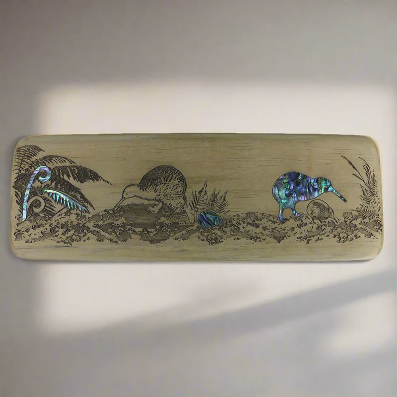 Wall Art- Recyclewood & Pāua, kiwi