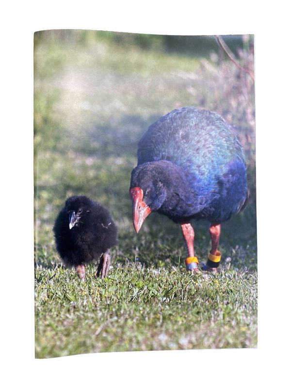 Notebook - takahē & chick
