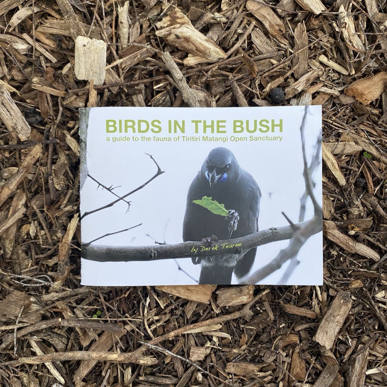Birds in the Bush booklet Birds in the Bush booklet