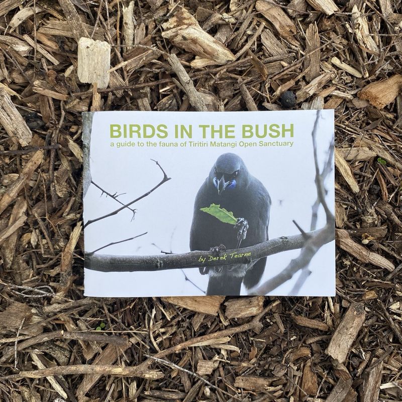 Birds in the Bush booklet Birds in the Bush booklet