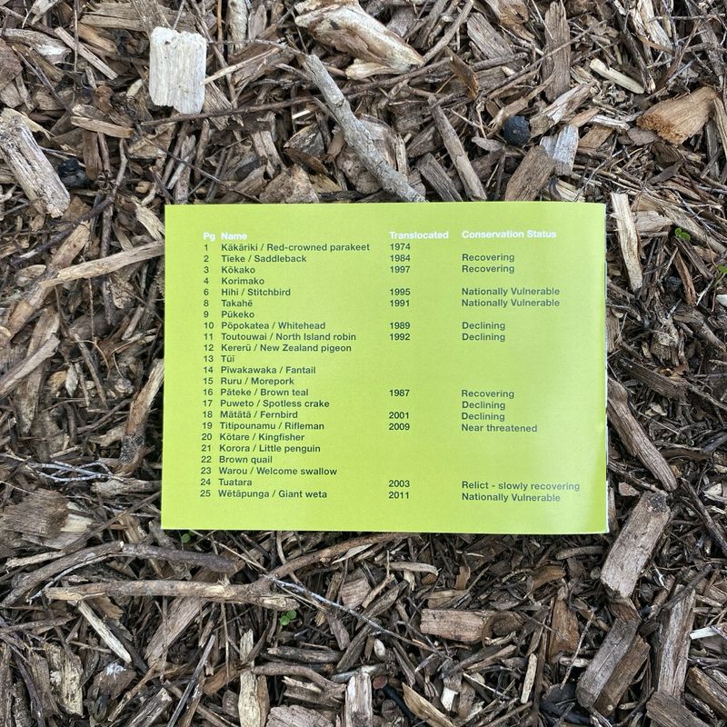 Birds in the Bush booklet