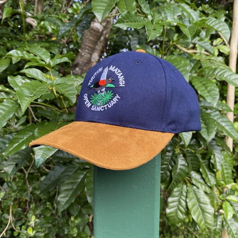 Cap- TMI, navy/tan Cap- TMI, navy/tan