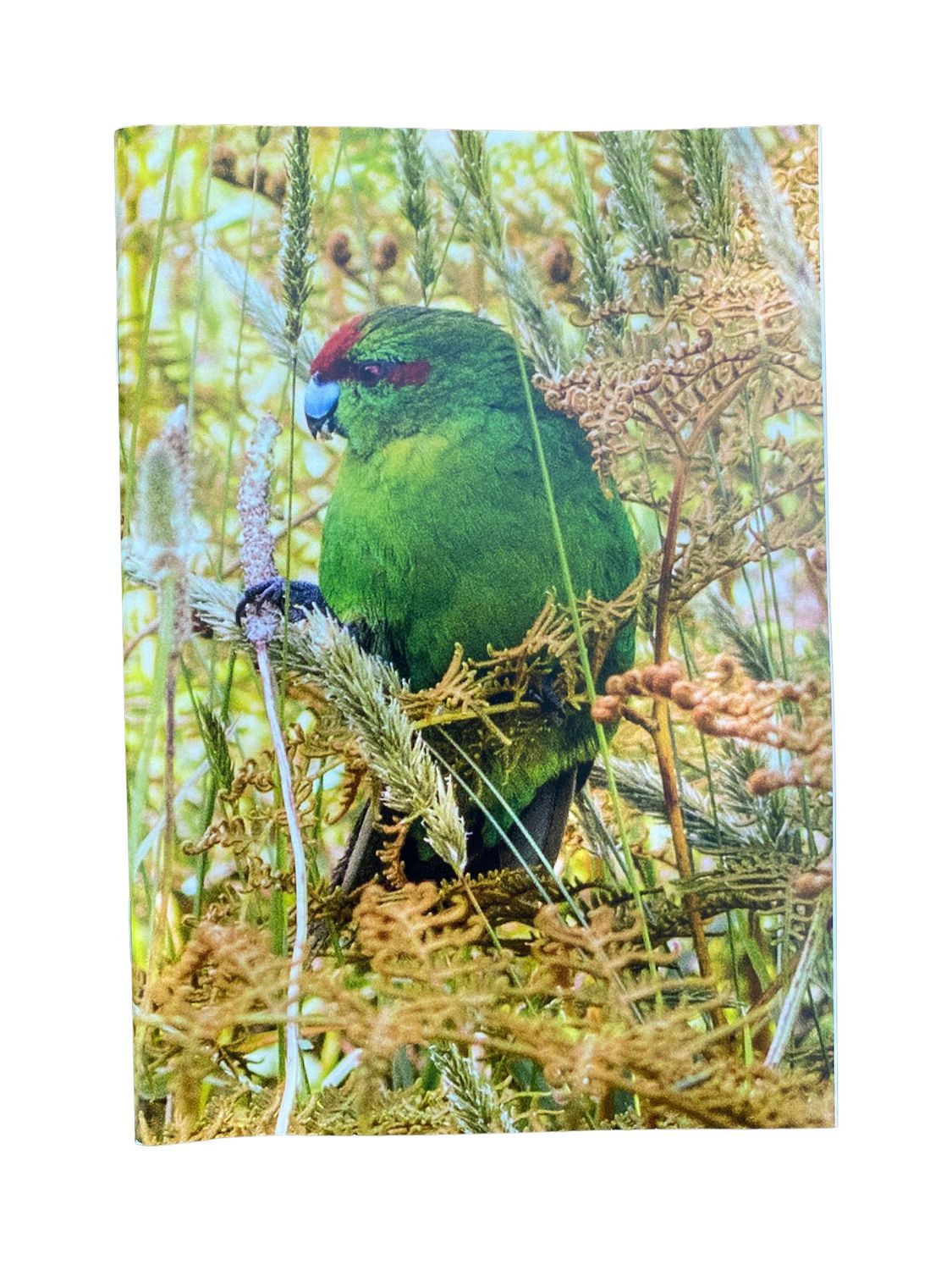 Notebook - kākāriki Notebook - kākāriki
