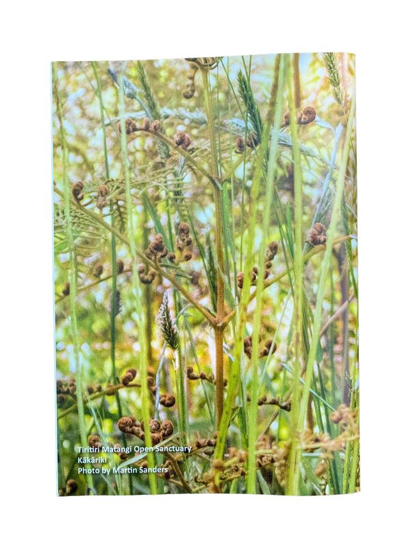 Notebook - kākāriki