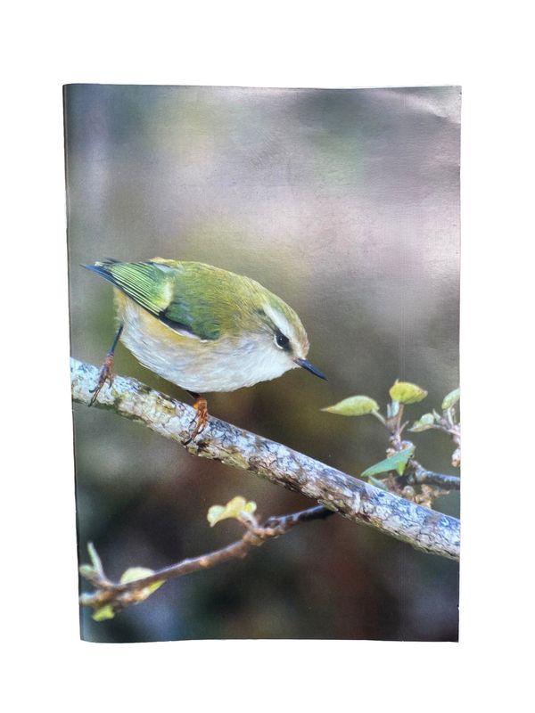 Notebook- titipounamu Notebook- titipounamu