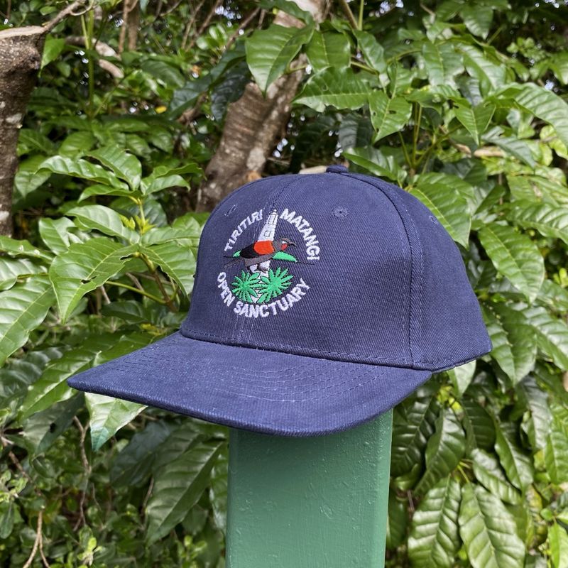 Cap- TMI, navy blue