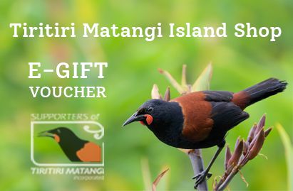 E-Gift Voucher