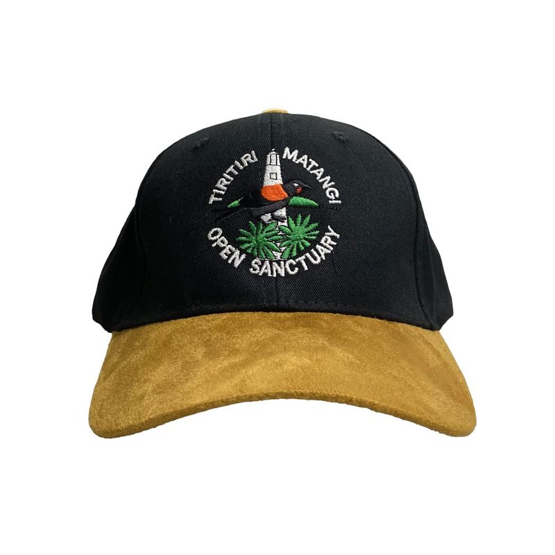 Cap- TMI, black/tan