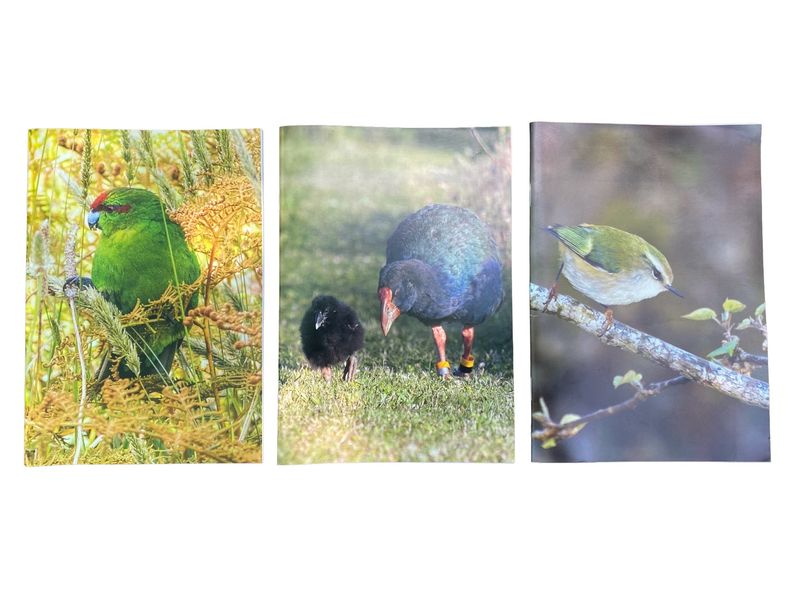 Set of 3 Notebooks- titipounamu, kākāriki, takahē & chick