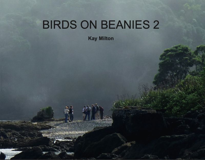 Birds on Beanies 2 - Knitting Pattern Book