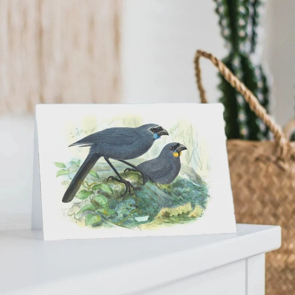 Card- Kōkako J.K