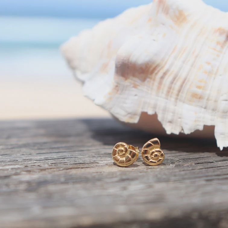 Studs- Nautilus shell, gp