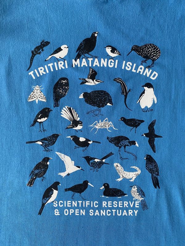 Womens T-Shirt- Species of TMI, werewere-kōkako blue