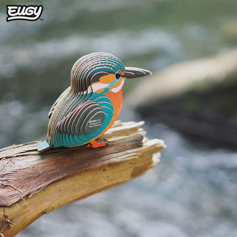 3D Cardboard Model- kōtare
