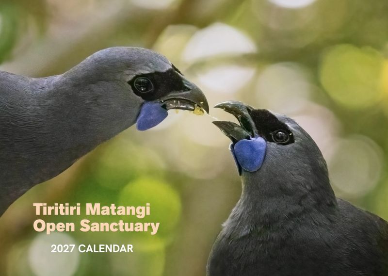 Tiritiri Matangi 2027 Calendar
