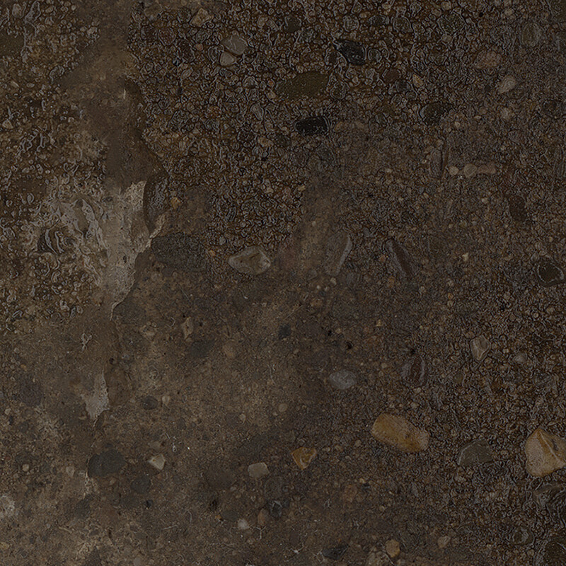 Rough Concrete - Forest