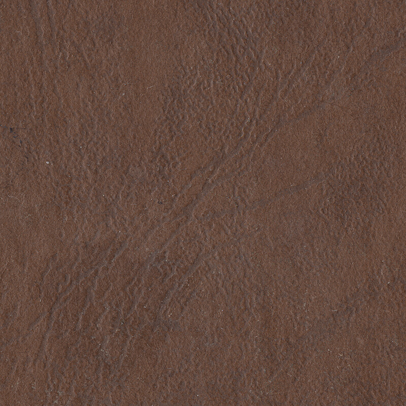 Antique Leather 1 - Grain