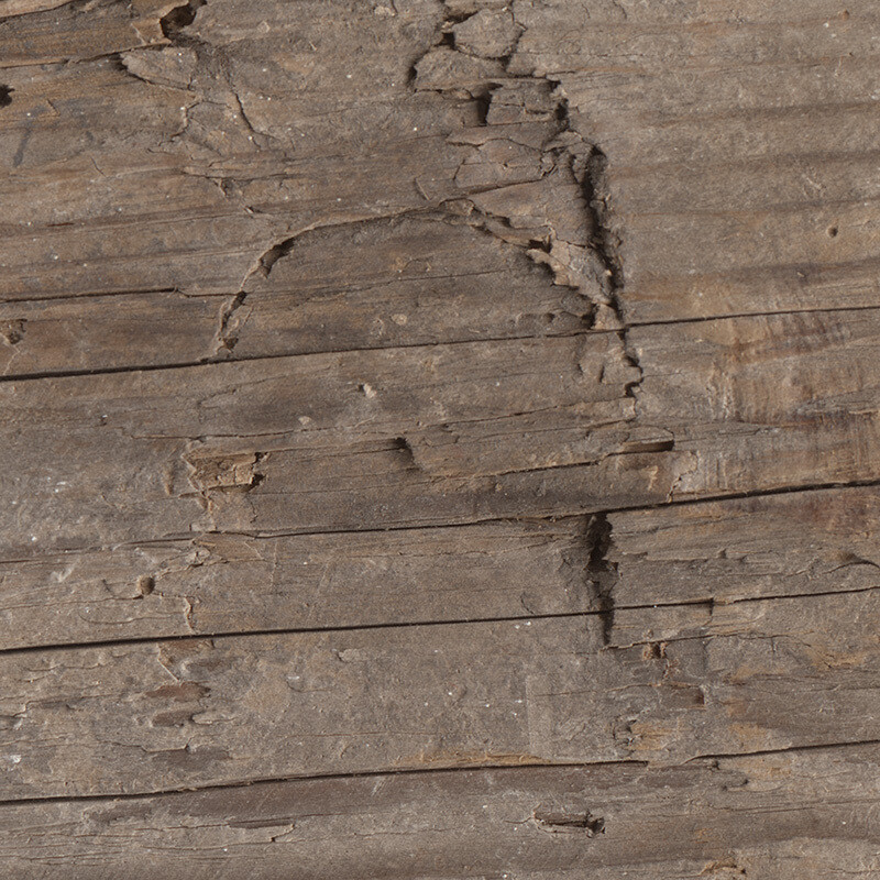 Hand Hewn Pine 4