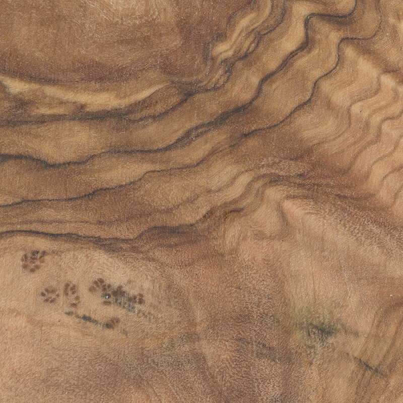 Olivewood