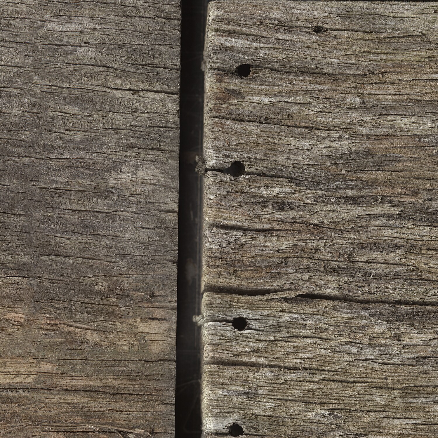 Benchwood - Garden 1