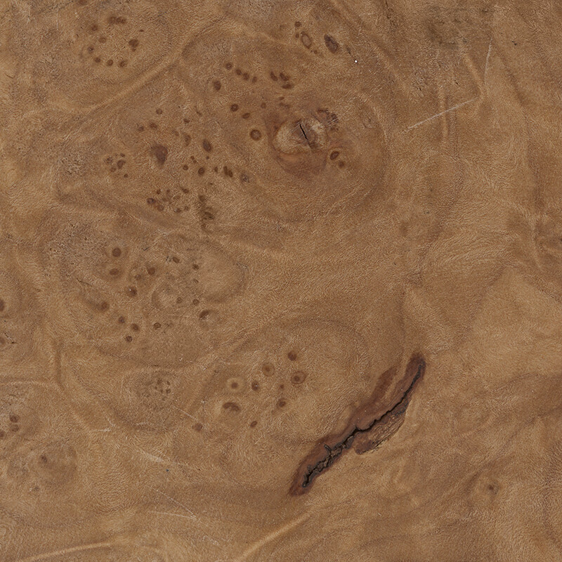 Burlwood