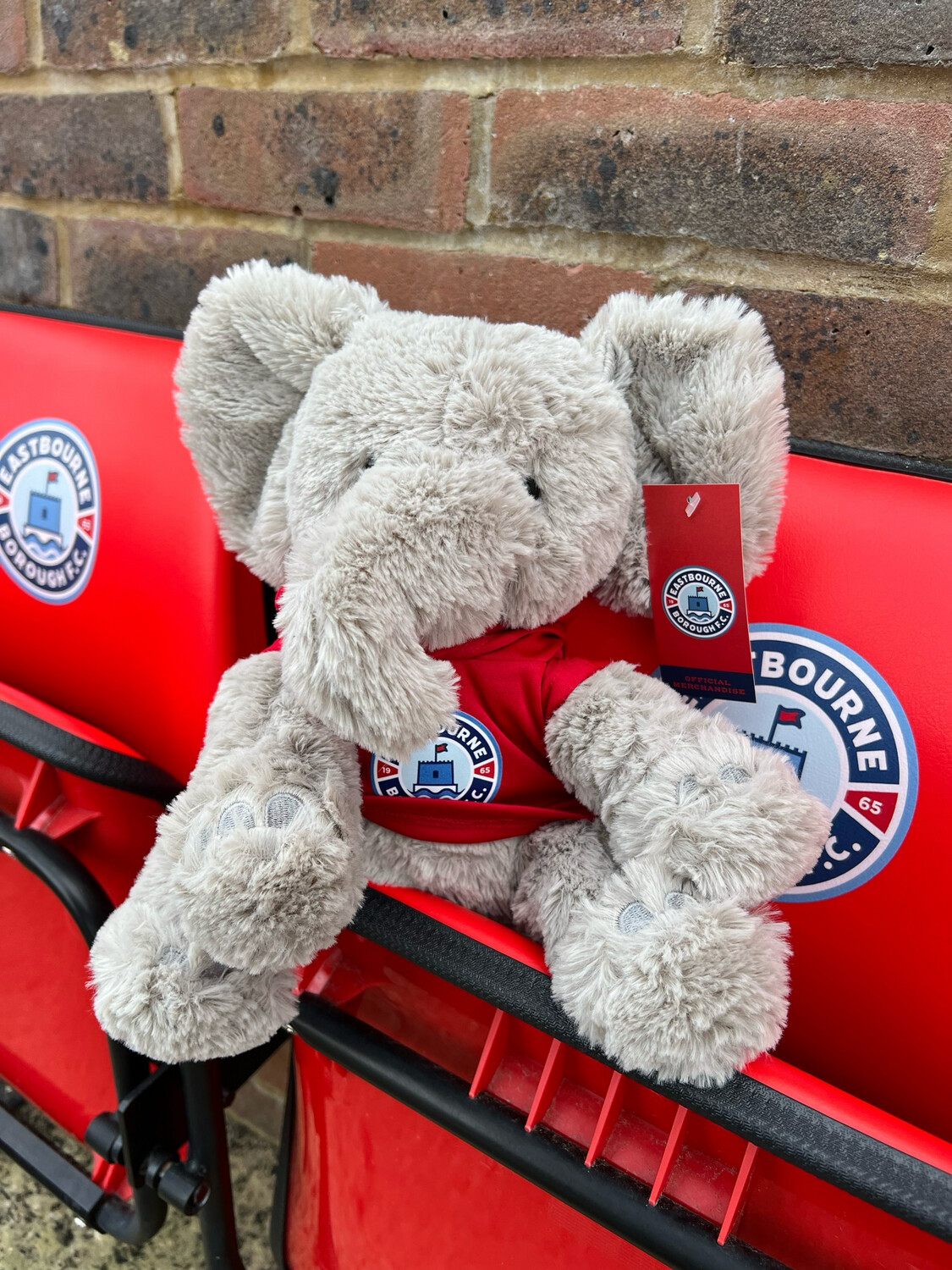 Toy Elephant EBFC Hoodie