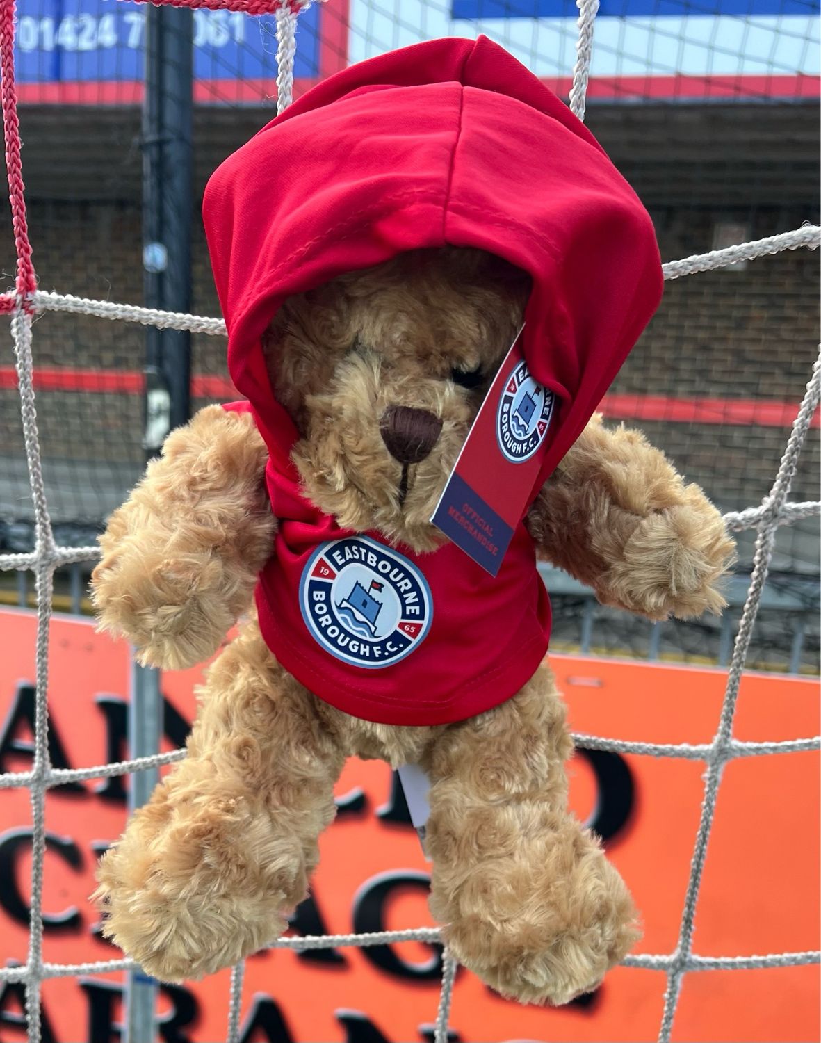 Curly Bear Hoodie