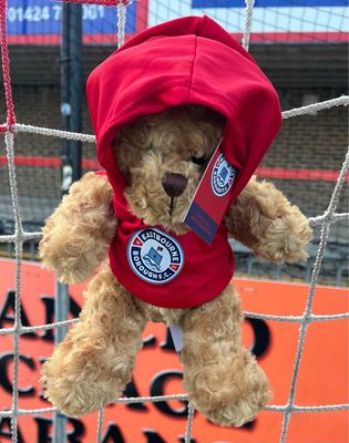 Curly Bear Hoodie