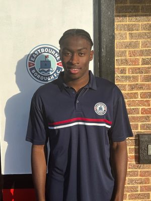 Navy Embroidered Polo Shirt